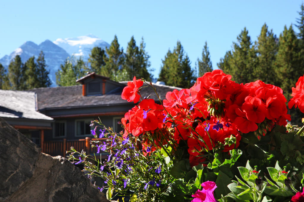 Mountaineer Lodge Lake Louise Eksteriør bilde